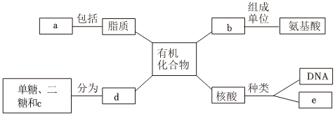德优题库