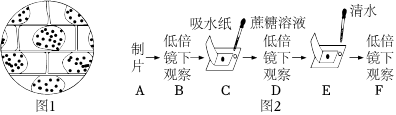 德优题库