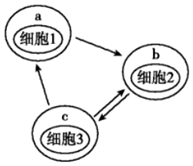 德优题库