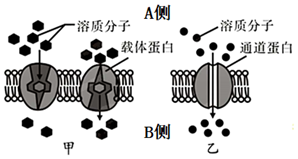 德优题库