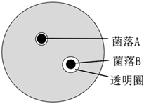 德优题库