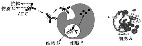 德优题库