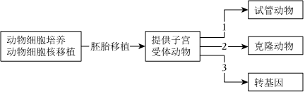 德优题库
