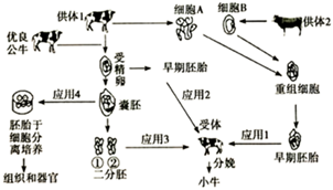 德优题库