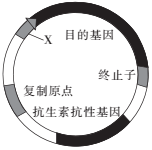 德优题库