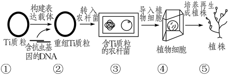 德优题库