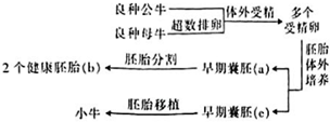 德优题库