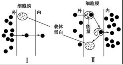 德优题库