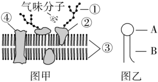 德优题库