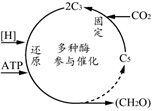 德优题库