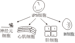 德优题库