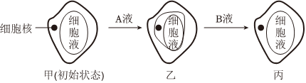 德优题库