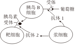 德优题库