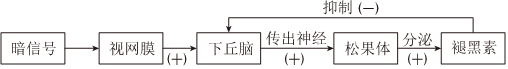 德优题库