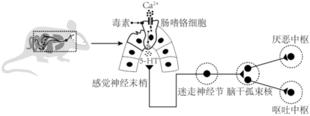 德优题库