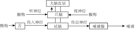 德优题库