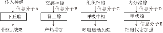 德优题库