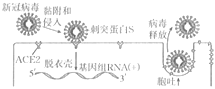 德优题库