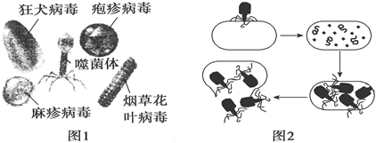 德优题库