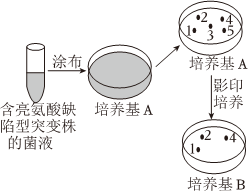 德优题库