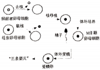 德优题库