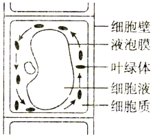 德优题库