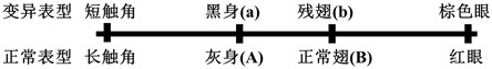 德优题库