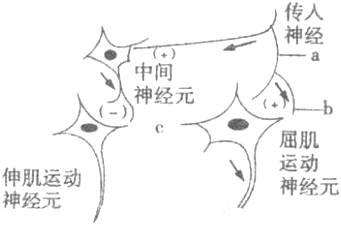 德优题库
