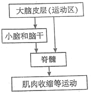 德优题库