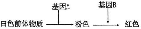 德优题库