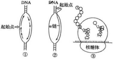 德优题库