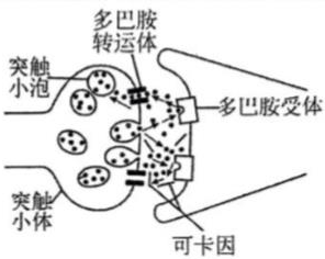 德优题库