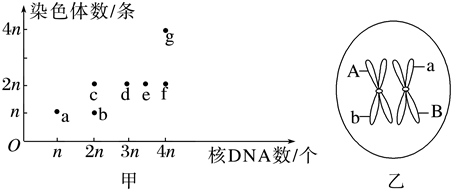 德优题库