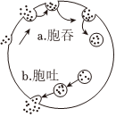 德优题库