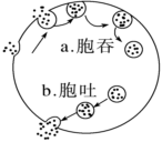 德优题库