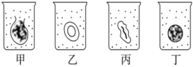 德优题库