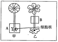 德优题库
