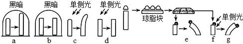 德优题库