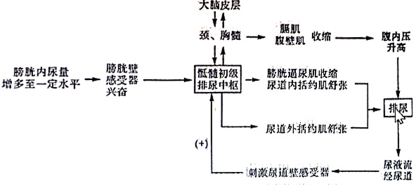 德优题库