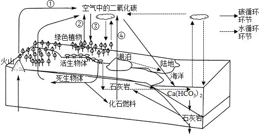 德优题库
