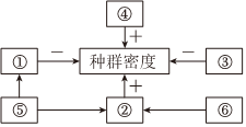 德优题库