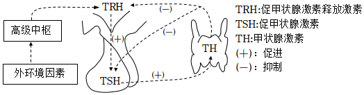 德优题库