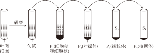德优题库