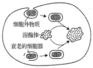 德优题库