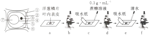 德优题库