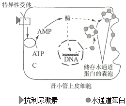 德优题库