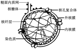德优题库