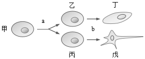 德优题库