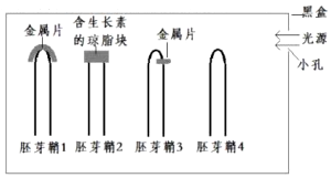 德优题库