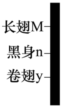 德优题库